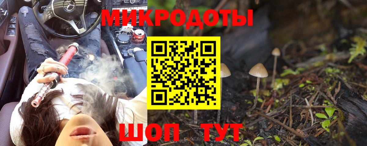 Псилоцибиновые грибы GOLDEN TEACHER Буйнакск