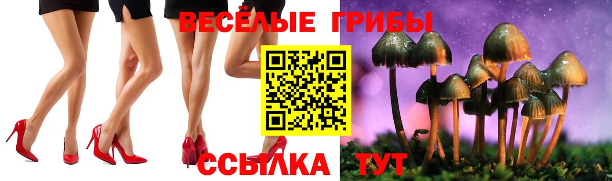 Галлюциногенные грибы ЛСД  Псилоцибиновые грибы Magic Shrooms  Буйнакск  Вход с VPN 